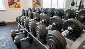 Fitness Equipment